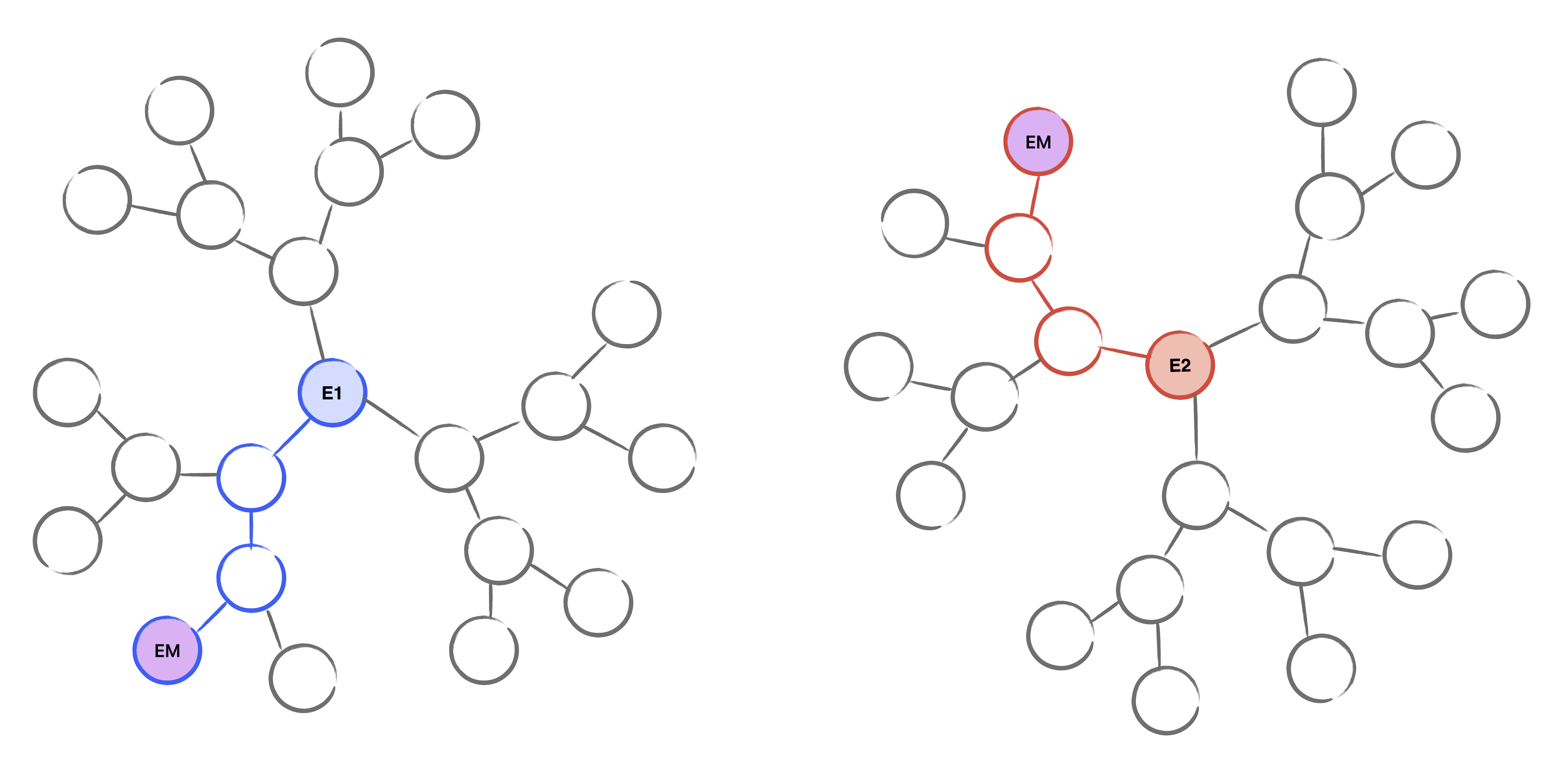 A pair of supersingular isogeny graphs, illustrating how the meet in the middle search works.